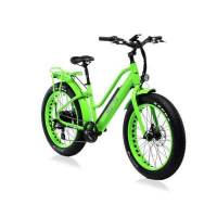 Bicicletta Bad Bike EVO FAT Folding eBike Green Flou 500W