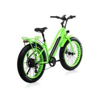 Bicicletta Bad Bike EVO FAT Folding eBike Green Flou 500W