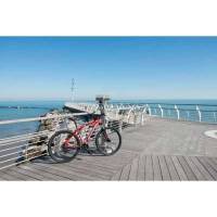 Bicicletta Velomarche MTB MOONSTER 27.5&rdquo; 21V VM 127S Red Matt